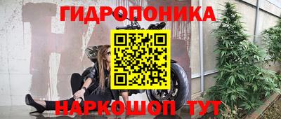 хмурый Дмитров