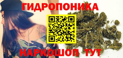 хмурый Дмитров