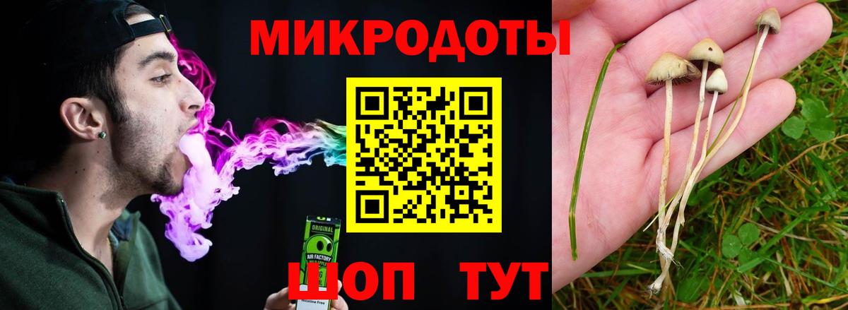 Галлюциногенные грибы MAGIC MUSHROOMS  Вход с VPN  Гусев  Галлюциногенные грибы MAGIC MUSHROOMS 